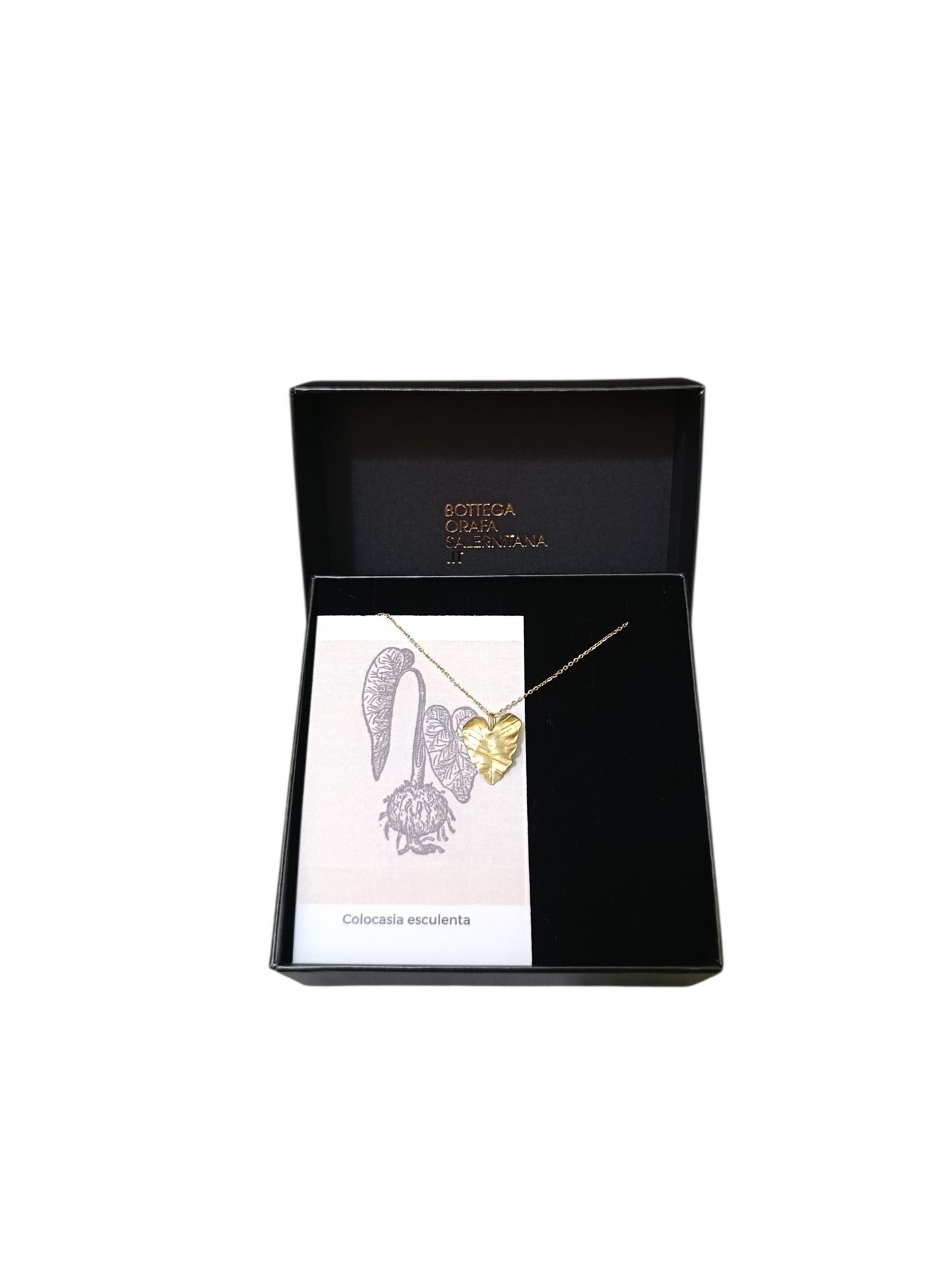 Collana con Ciondolo Foglia Bagno Oro 18kt