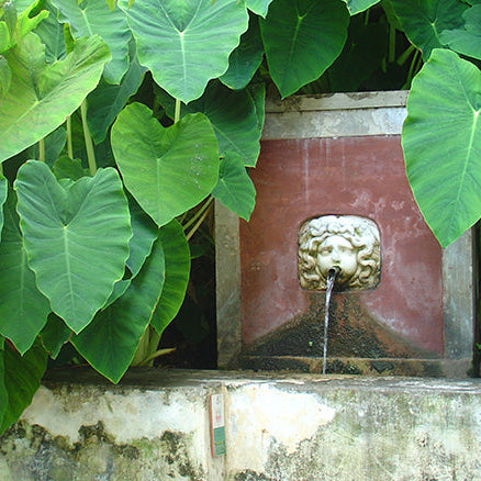 Ciondolo Gorgone della Minerva